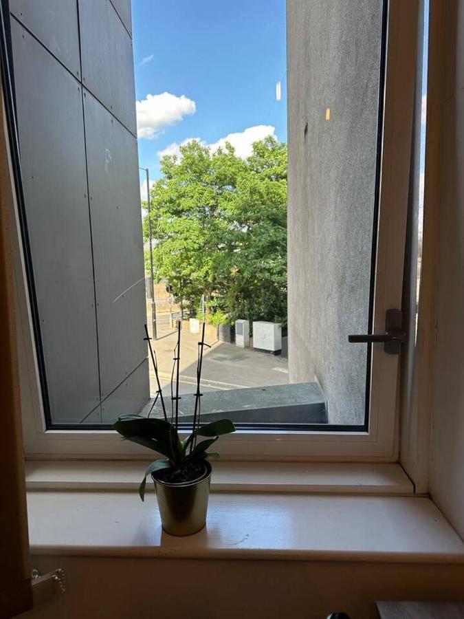 New Build 2 Bedroom With 2 Bath In 伦敦 外观 照片